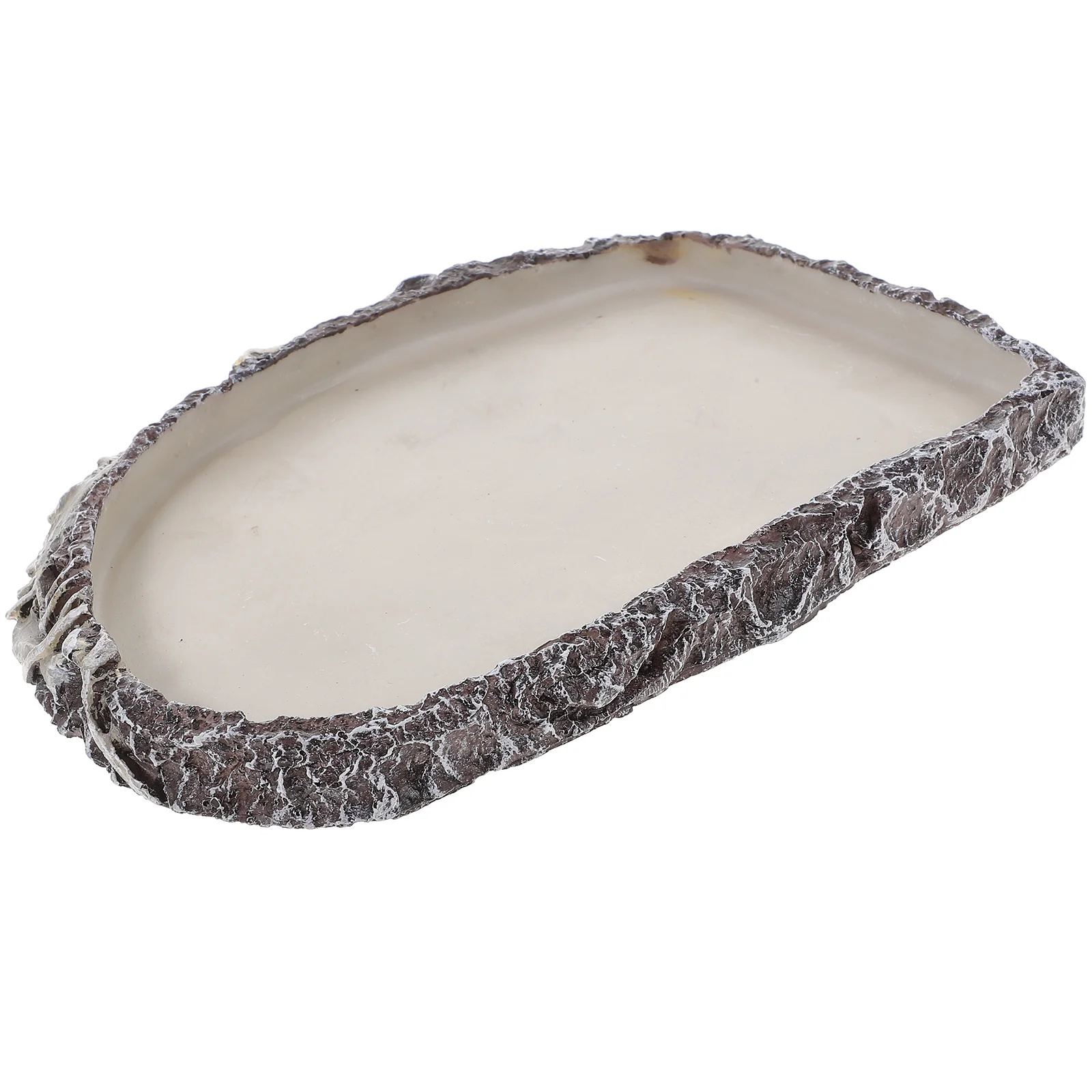 Ящерица Змея Бассейн для воды Рептилия Миска еды Смола Блюдо Животное Борода