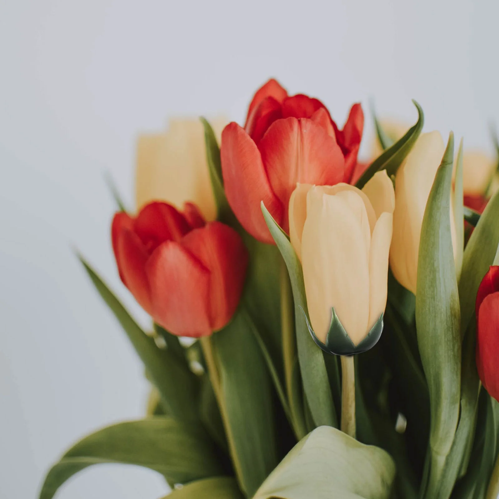 Розетка вечный розовый цветок ваза Sepal свежие цветы имитация розы калликс