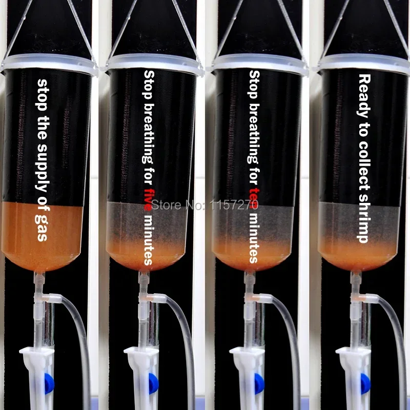 Сказочное яйцо креветки artemia живое легкое искусство Детская креветка Маленькая