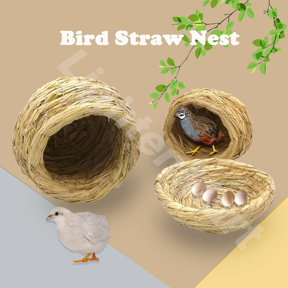 

Bird Parrot Nest Dove Straw House Room