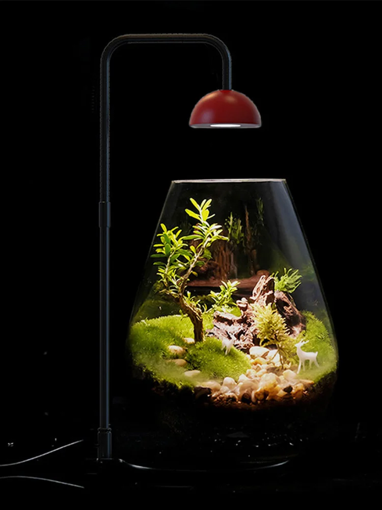 Свет для растений из мха с таймером микропейзажная лампа роста светильник