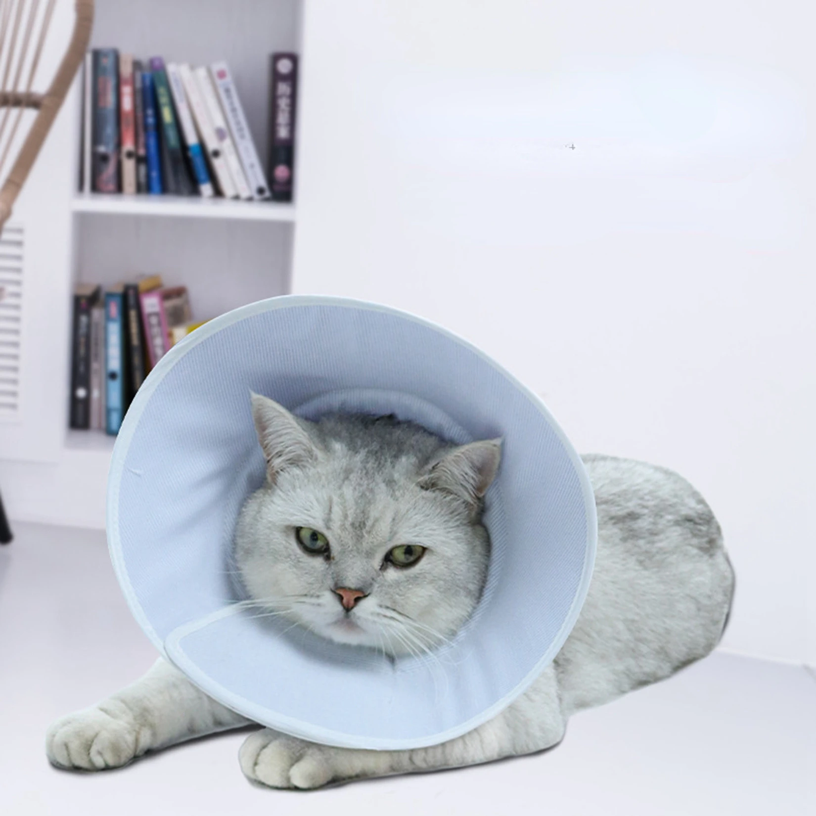 

Ошейник для кошки Элизабет, мягкий удобный аксессуар для защиты от укусов, лечение ран домашних животных, для медицинского выздоровления