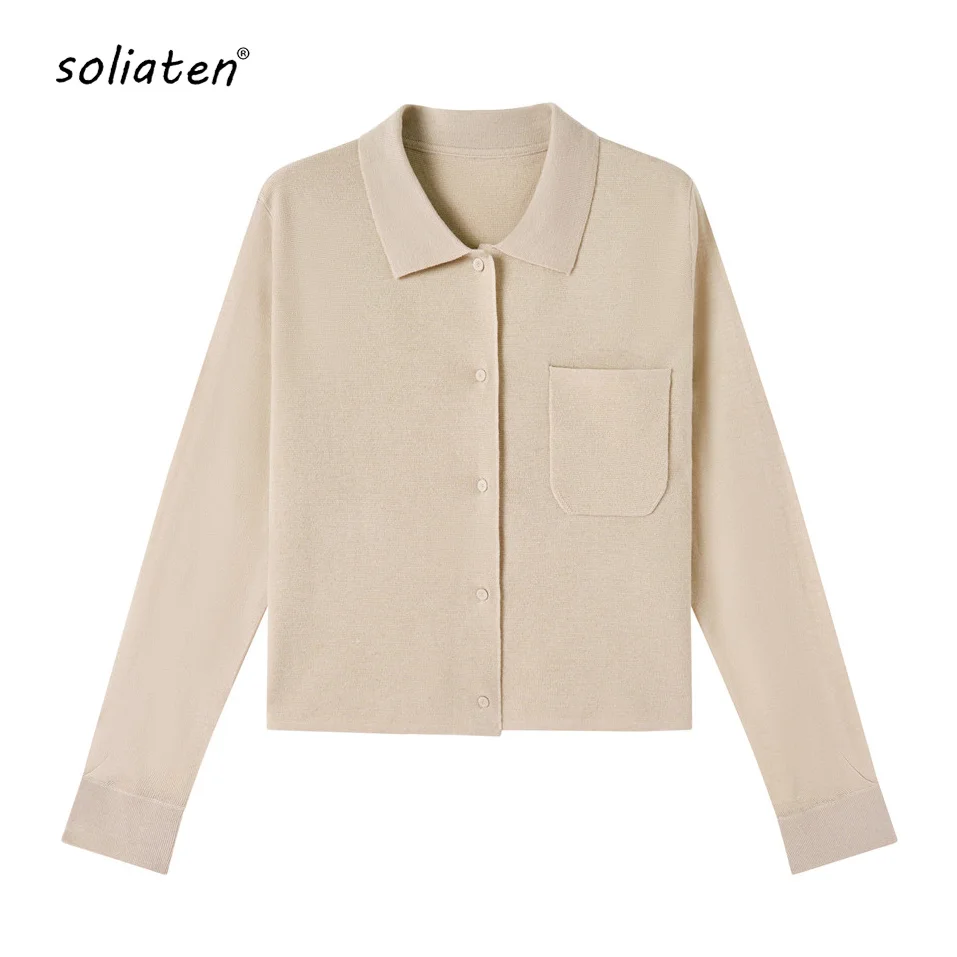 

Wool Knitted Cardigan Sweater Autumn 2023 New Turn Down Collar French Style Fashion Basic Tops Warm C-175
