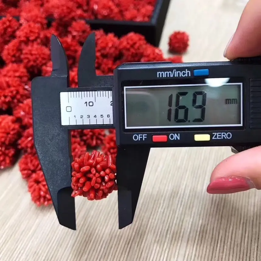 Natural Red Coral Arca Eardrop Original Braided Earhook Earhook Personalized Fashion Women's Accessories Eardrop Accessories