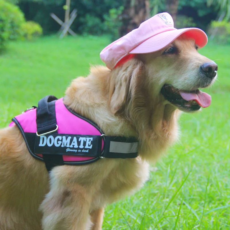 

Personalized Dog Chain Collar Leash Reflective Breathable Adjustable Pet Harness Vest Small Large Dog Walk Training Accessories