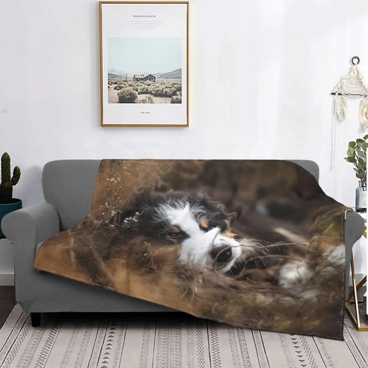 

Одеяло бархатное летнее с 3D-принтом в виде Бернской собаки