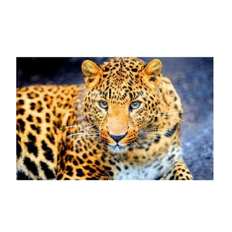

DIY Diamond Painting Art Painting Wall Decoration Home Office Decoration Leopard