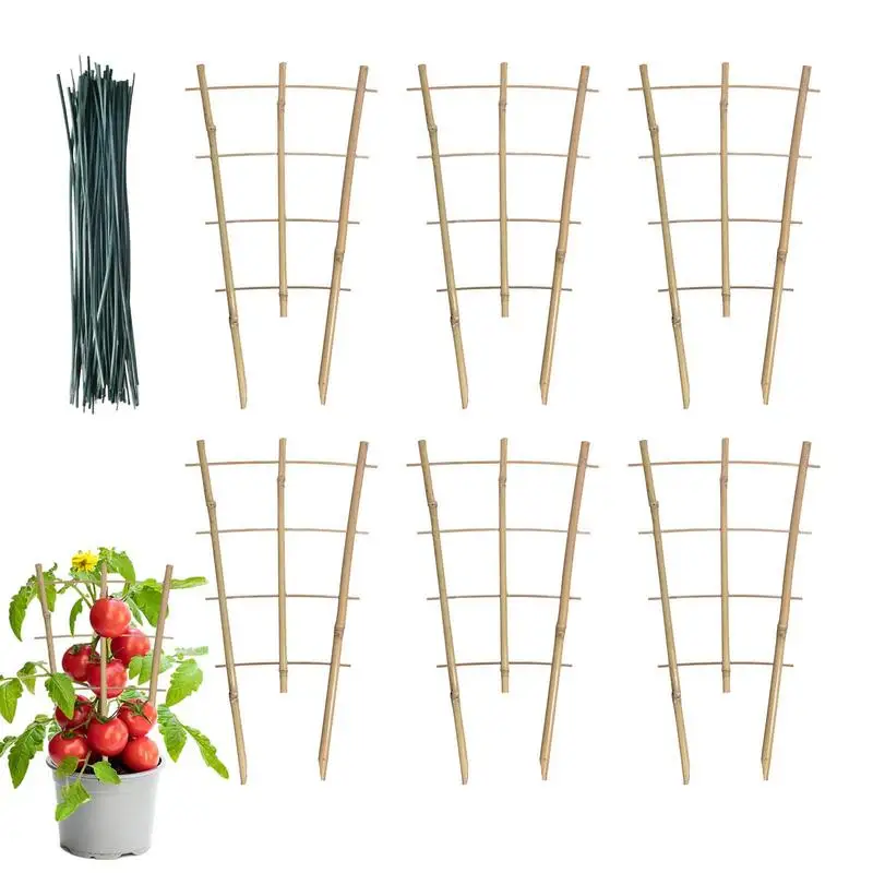 

Bamboo Plant Trellis 6 Pcs Pot Trellis for Garden with Twist Ties Plant Trellis for Vines Houseplant Ivy Orchid Roses Sweet Peas