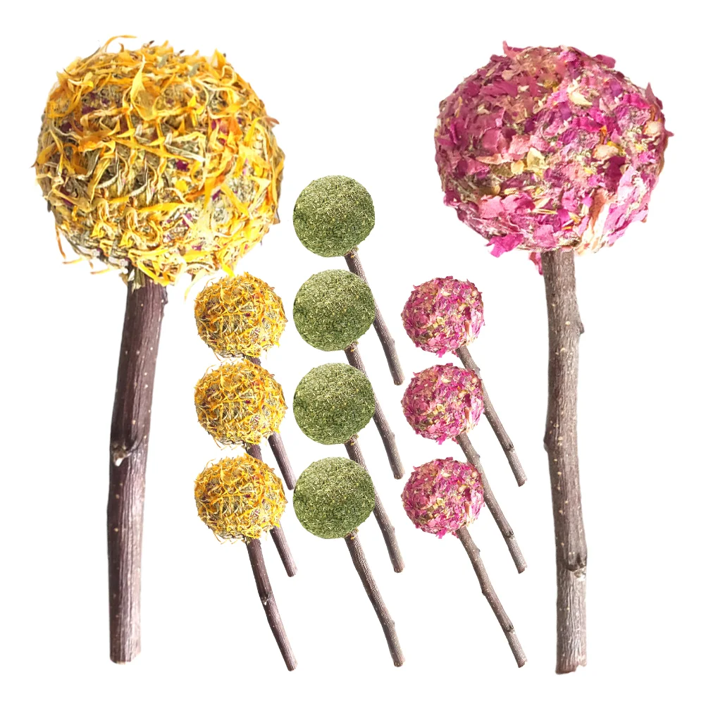 12 шт. хомяк прорезывание зубов домашнее животное кролик закуски морская свинка