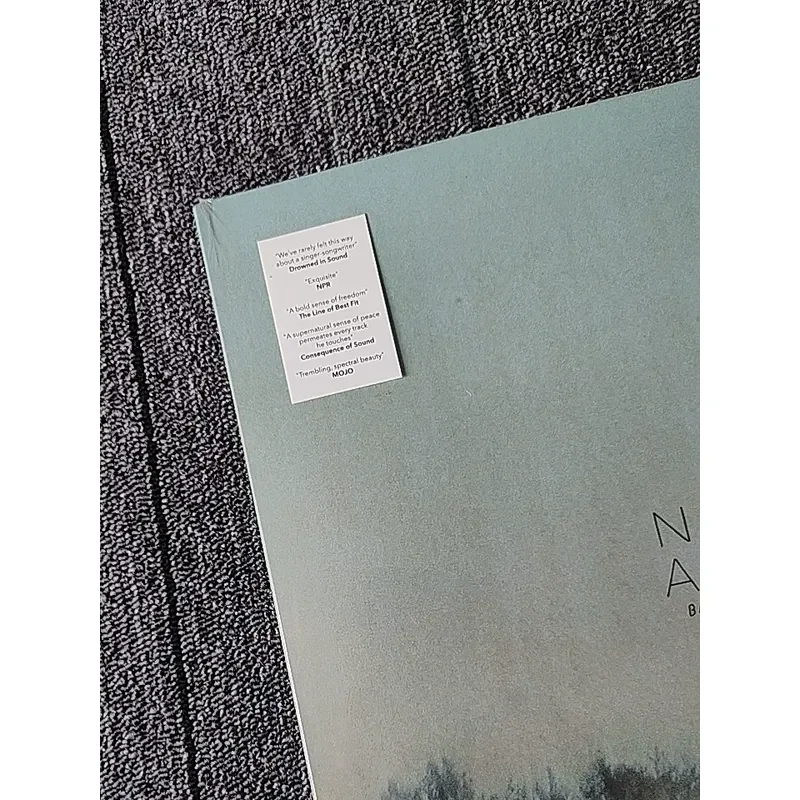 Фото Гарантия подлинности: Novo Amor Bathing Beach Vinyl LP для любителей музыки, абсолютно новый и нераспечатанный. №2