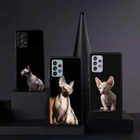 sphynx cat cute animal phone case for samsung galaxy a s note 10 12 20 32 40 50 51 52 70 71 72 21 fe s ultra plus