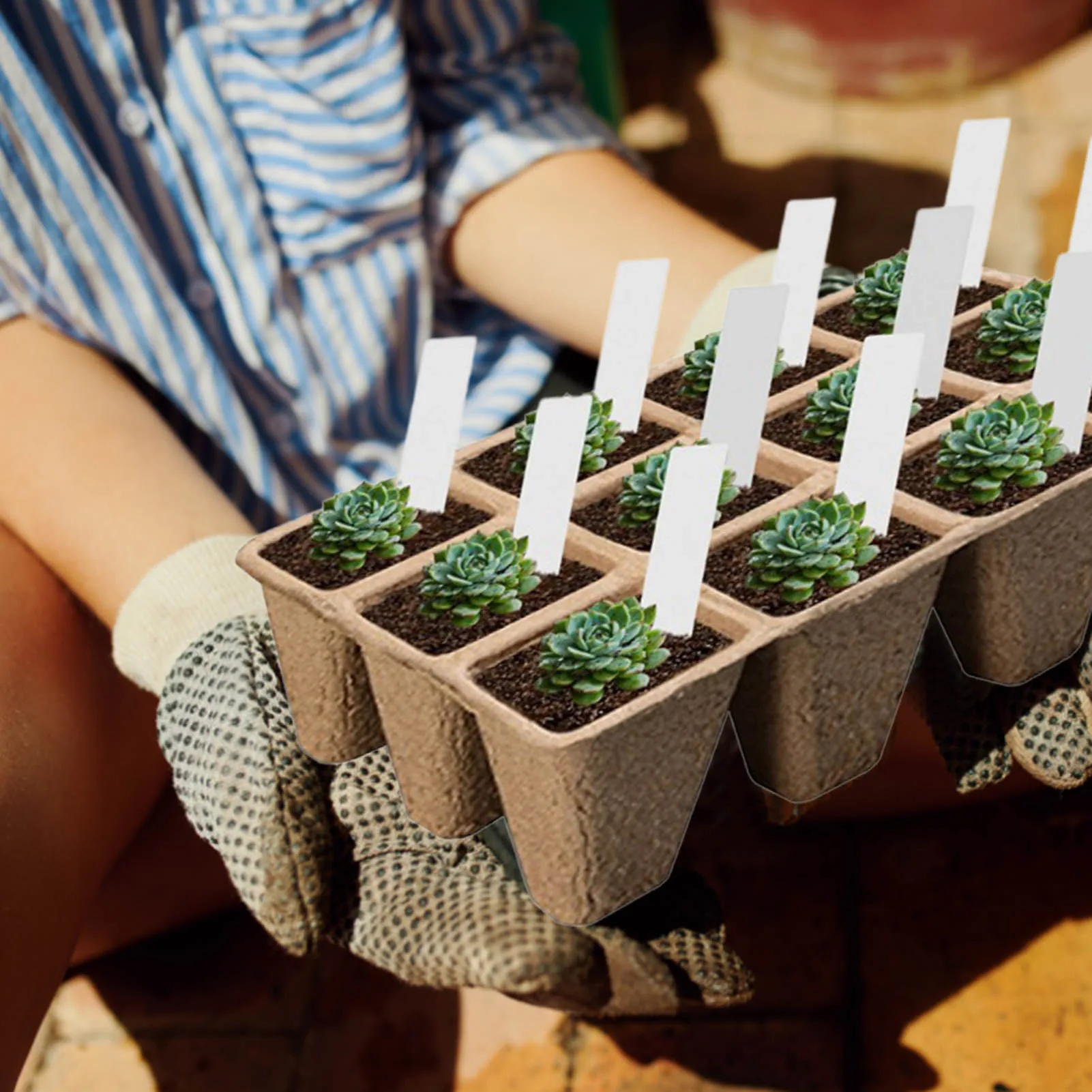 

Peat Pots 10x12 Grids Peat Pots For Seedlings Gardening Seed Starter Tray Kit Biodegradable Plant Starting Pots For Plant Flower