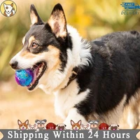 puppy pet dog toy squeaky chew toy sound pure natural non toxic rubber outdoor play small big dog funny ball wholesale dog toy