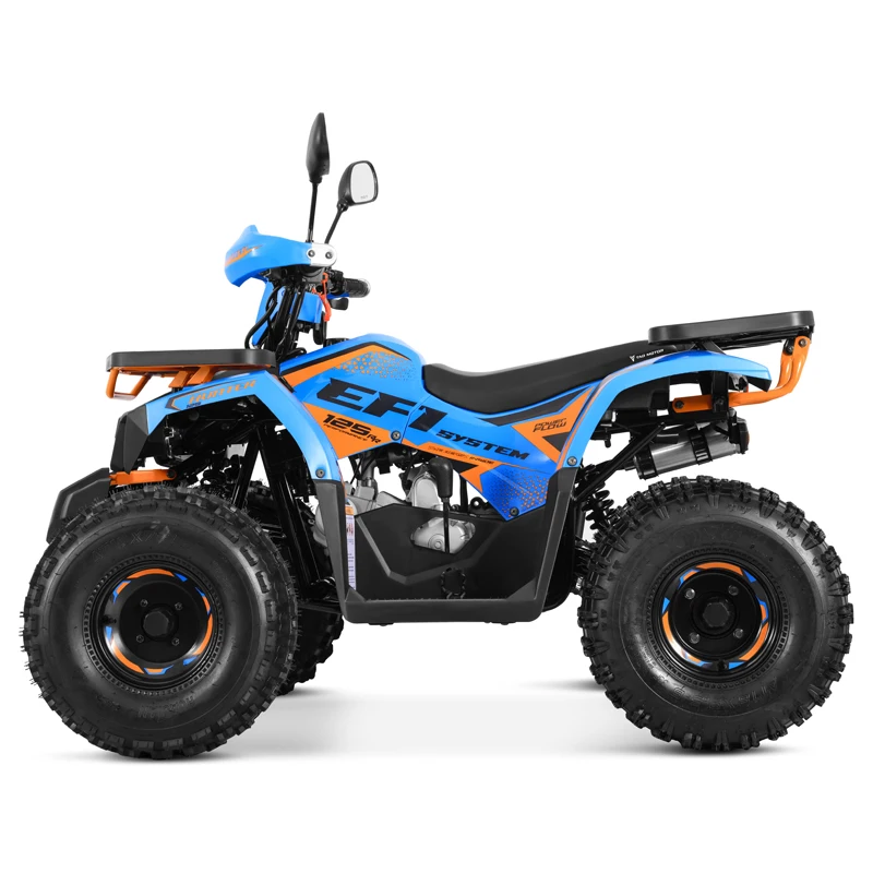 Tao Motor 2024 Новый электронный впрыск топлива EFI ATV 125 дешевый китайский