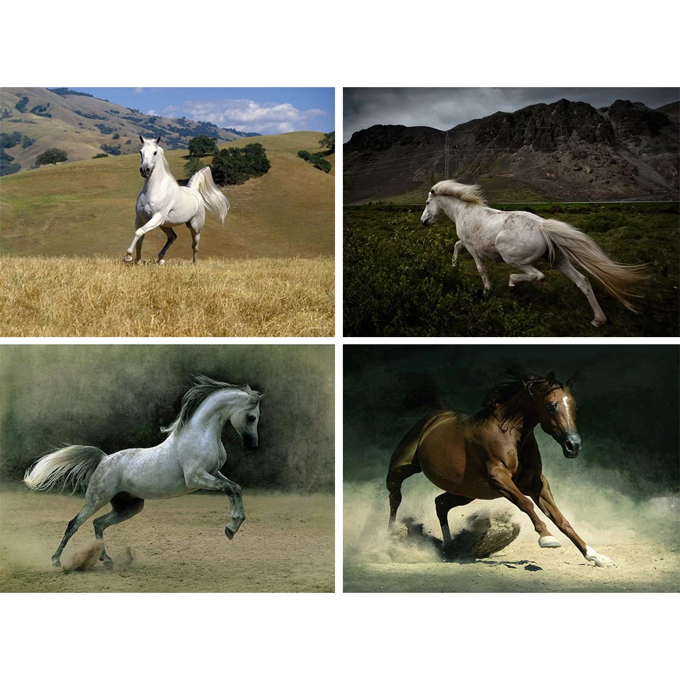 

Horse 5D DIY Diamond Painting Rhinestone Art Picture Cross Stitch Kit Full Diamond Embroidery Mosaic Animals Home Decor Gifts