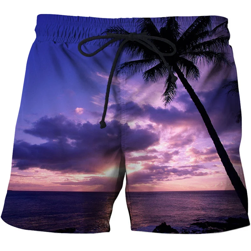 

Hawaii Beach Shorts Men Summer Vacation Surf Board Shorts 3D Printing y2k Tropics Plants Swimsuit Ice Shorts Bermuda Swim Trunks