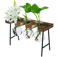 desktop plant terrarium with wooden stand 3 bulb vases glass planter for plants home garden office decoration