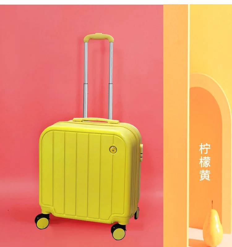 Рисунок 3 - Чемодан, 18/20 дюймов