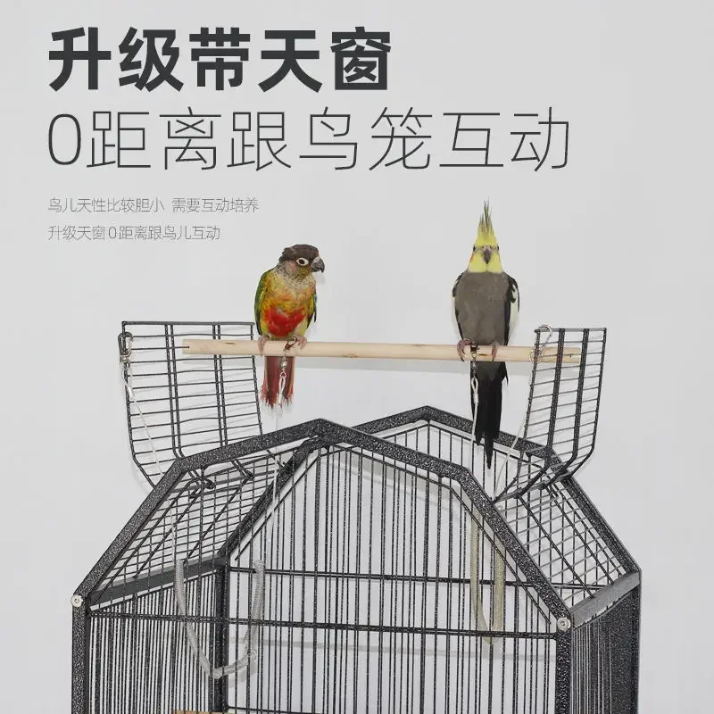 Большая тигровая кожа Xuanfeng стартовый металлический Leiothrix для домашнего