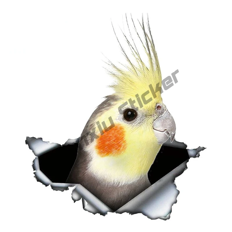 

Boutique Cockatiel Parrot Lovely Bird Car Sticker Sunscreen Decal Laptop Motorcycle Car Accessories Custom Decal KK13*11cm
