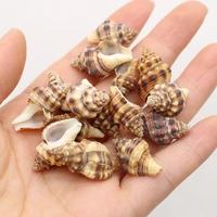 100g natural shells conch beach decor crafts fish tank aquarium ornaments decor diy charms for bracelet making earrings jewelry