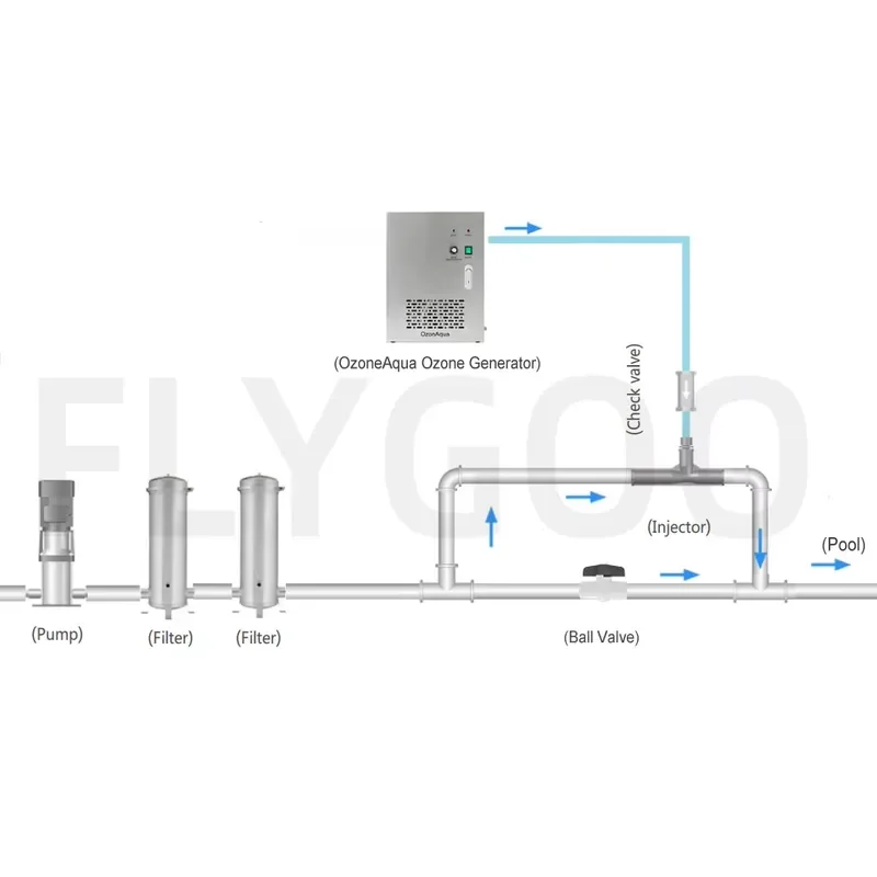 Фото WSQ Flygoo Ozonaqua Air Feed: Озонатор-очиститель воды со встроенным воздушным насосом, 10 г, для бассейнов №5