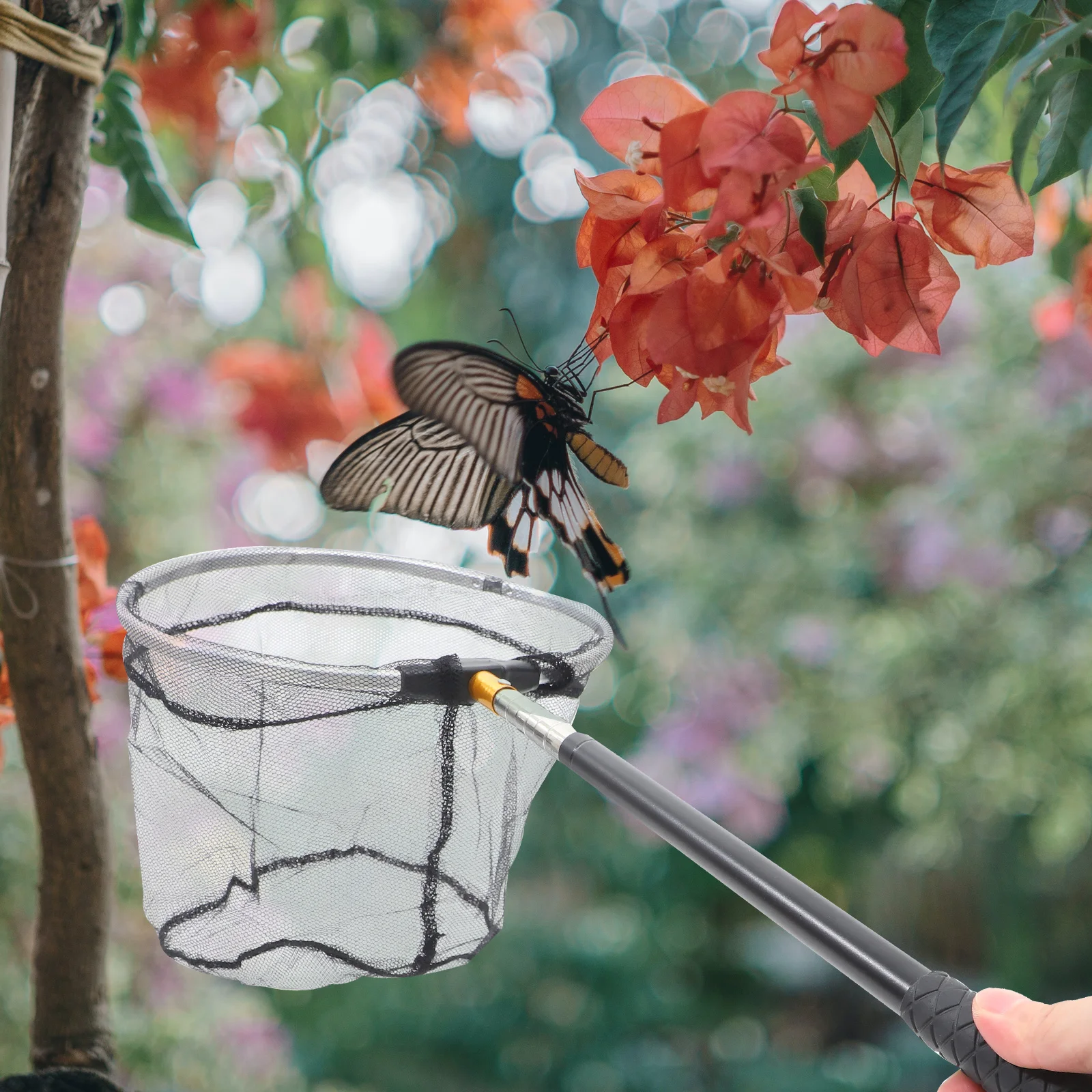 Игрушки для исследования природы рыбы и бабочки рыболовная сеть уличный