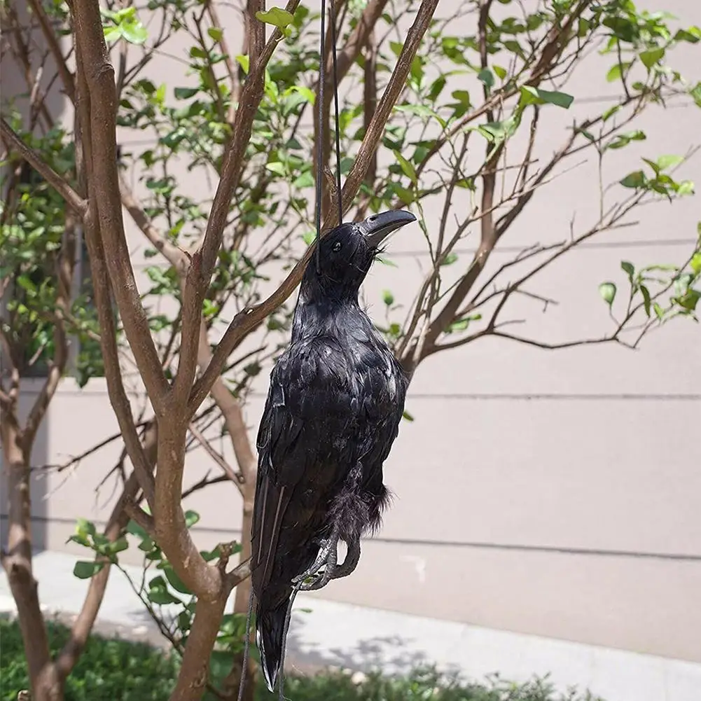

1pc Bird Mold Animal Ornaments Realistic Hanging Dead Crow Decoy Lifesize Extra Large Black Feathered Crow Simulation Toys