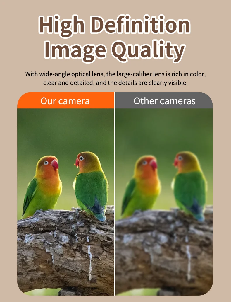 Фото STLFSmart Кормушка для птиц HD CameraMobile App Control Устойчивая к атмосферным воздействиям система наружного мониторинга на солнечной энергии №2