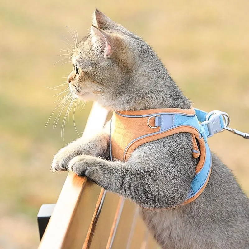 

Уличный поводок для кошек, сетчатая дышащая Регулируемая шлейка для собак, нагрудные подтяжки, жилет, светоотражающий воротник для кошек