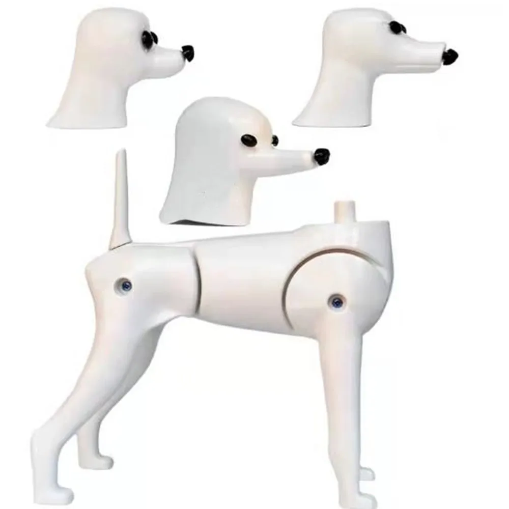 Multifunction Grooming Model Dog Mannequin Display Dog Plastic Skeleton For Pet Groomer 1 Body 3 Changeable Head