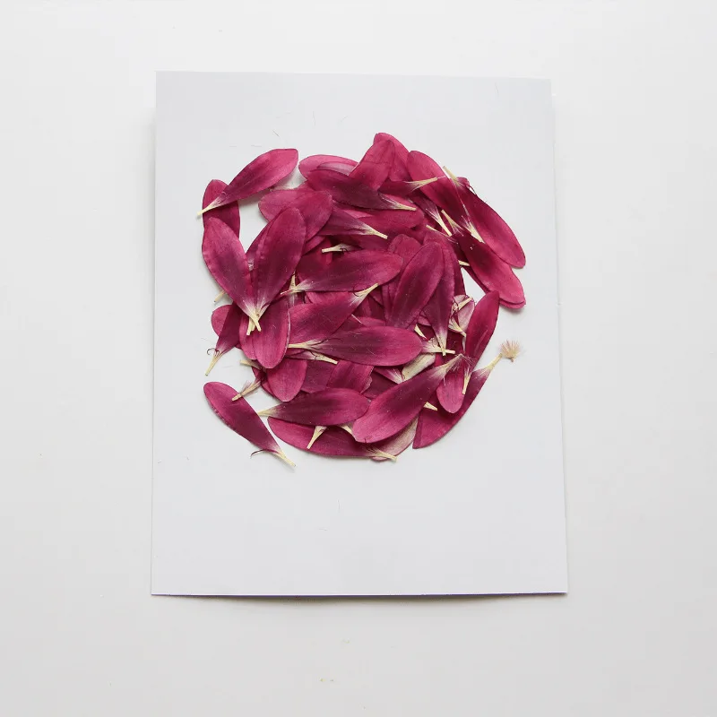 60 шт. Цветочный лепесток