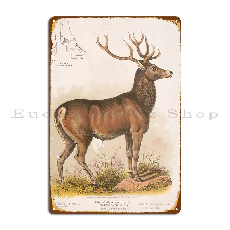 Винтажная иллюстрация круглого рогатого лося 1827 металлическая вывеска Bravuramedia