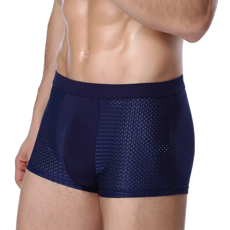 

Mesh Boxer Shorts Male Comfortable Sexy Underpants Men Plus Size 3XL