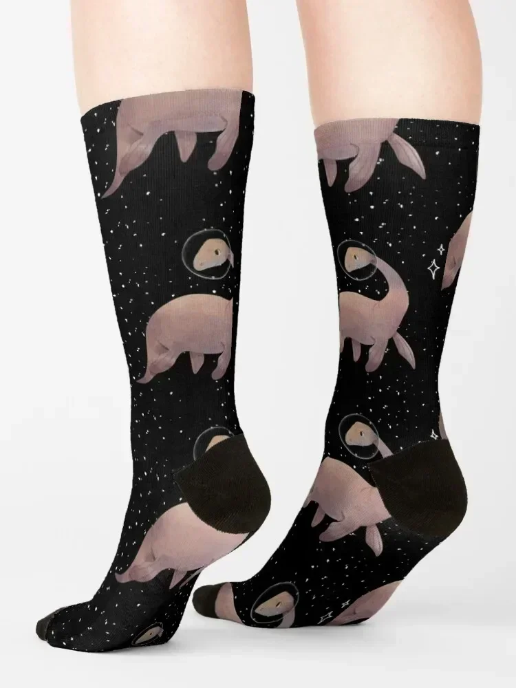 Милые акварельные плезиозавры в космосе Носки дизайнерские футбольные