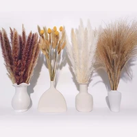 pampas grass decor white color fluffy natural dried flowers bleached bouquet boho vintage style for wedding home christmas decor