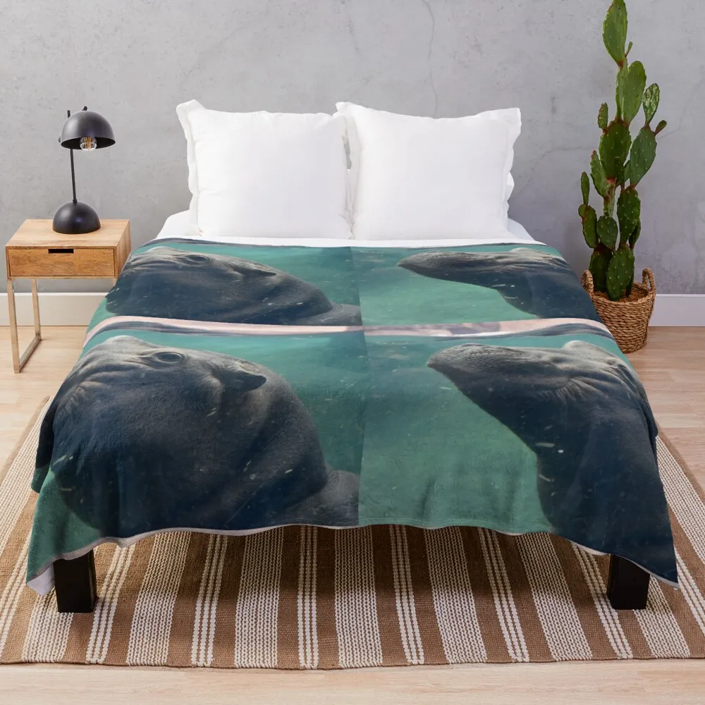 

Fiona o hipopotamo no jardim zoologico de cincinnati lance cobertor duplo