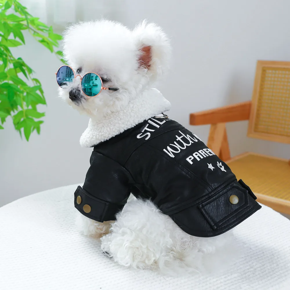 

Small Dog Jacket Winter Autumn Warm Sweater Pet Cute Desinger Clothes Puppy Fashion Harness Cat Coat Chihuahua Maltese Yorkshire