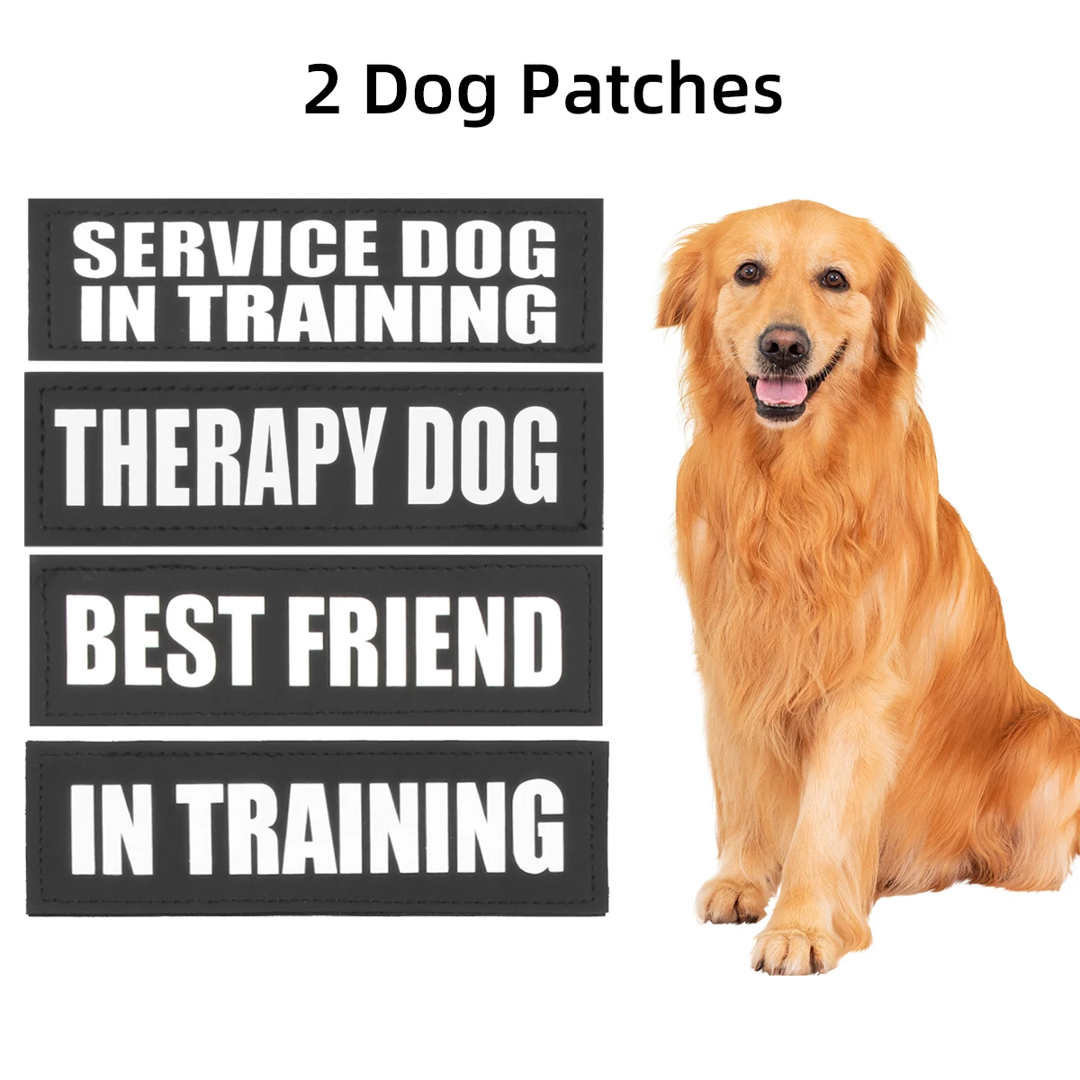 Пользовательские идентификационные бирки для собак шлейки имя домашнего