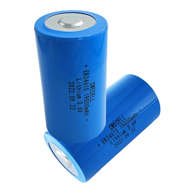 Lithium D Batteries