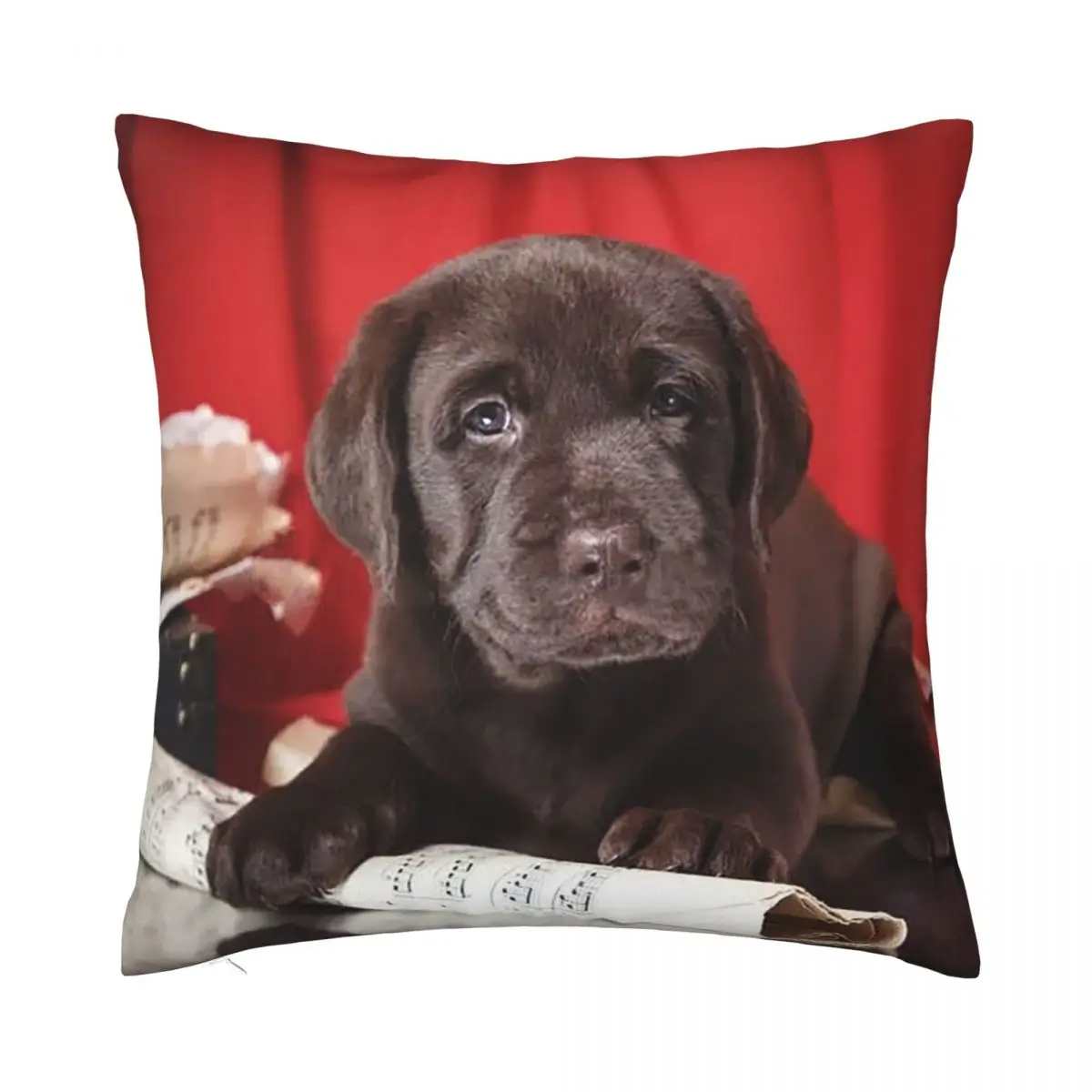 

Чехол-наволочка с изображением собаки Лабрадора ретривера, декоративная Милая Черная наволочка с изображением собаки, квадратный чехол дл...