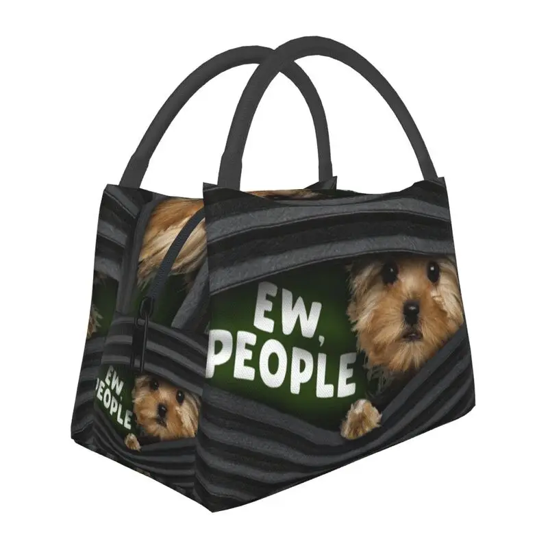 

Funny Dachshund Dog Lunch Box Women Multifunction Cooler Thermal Food Insulated Lunch Bag Hospital Office Pinic Container