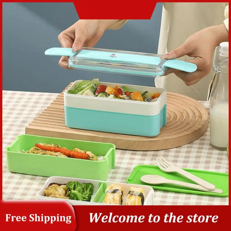 

Bento Box Thickening Practical Exquisite Food Container Lunch Salad Box Long Square Design High Quality Picnic Storage Tools