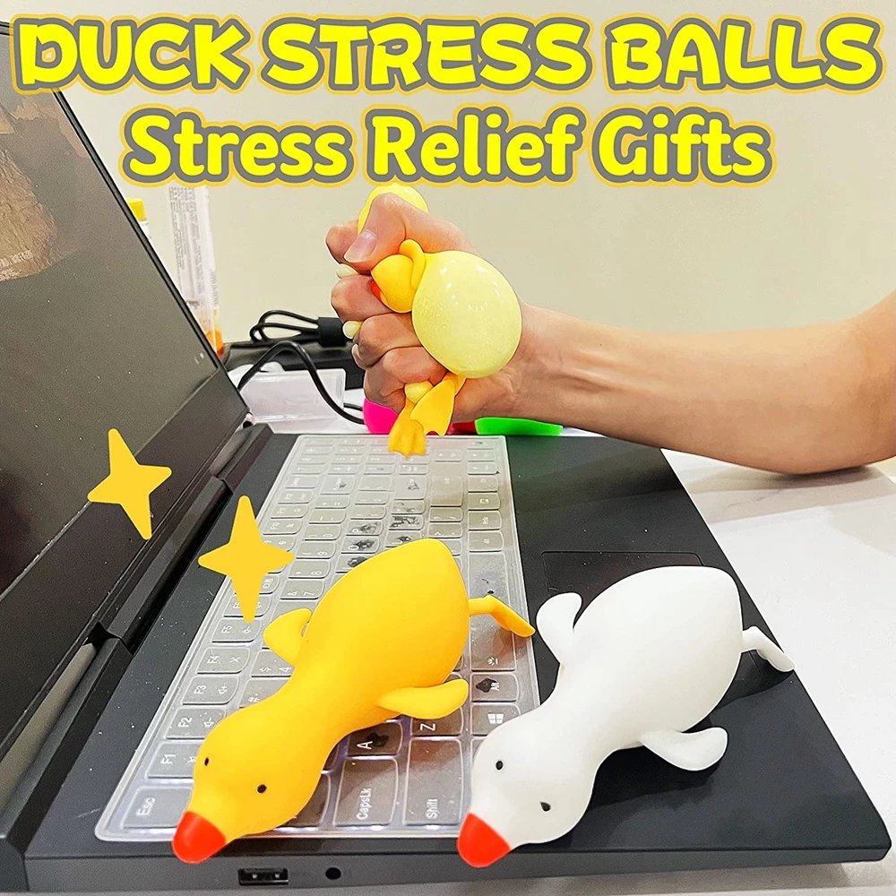 

2PCS Duck Squishy Stress Relief Cute Animal Squish Squeeze Dough Ball Sensory Fidget Toys for Kids Adults Anxiety Autism ADHD