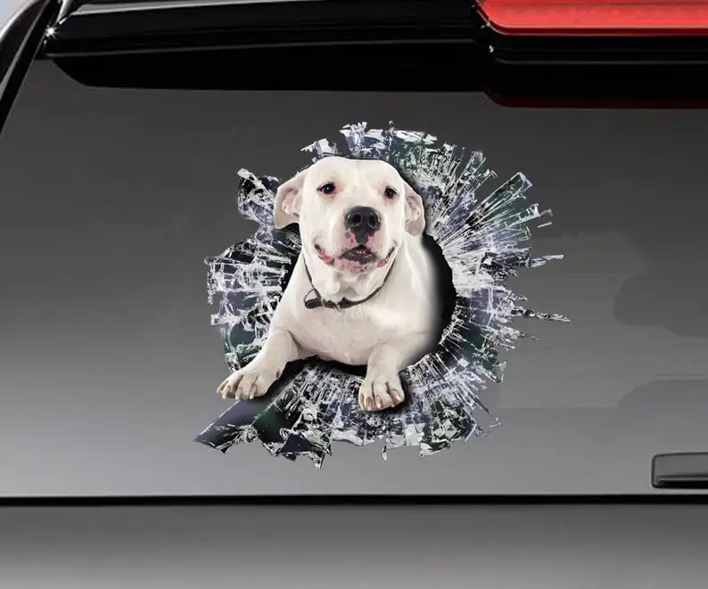 

White pitbull window sticker , car decoration, window pet sticker , Vinyl decal, white pitbull decal