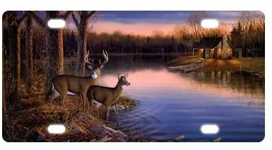 

Best Design Deer Nature River Birch Animals Metal License Plate for Car (New) 12" X 6"
