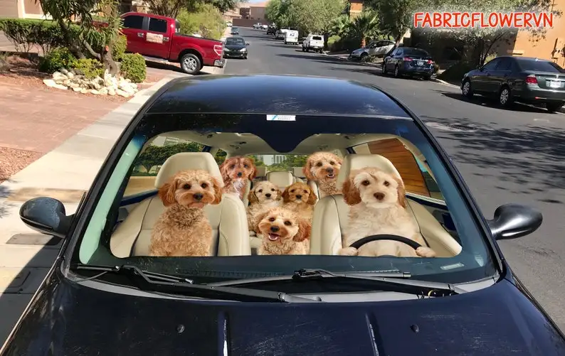 Cockapoo Car Sunshade Decoration Windshield Dog Lovers Gift For Mom F