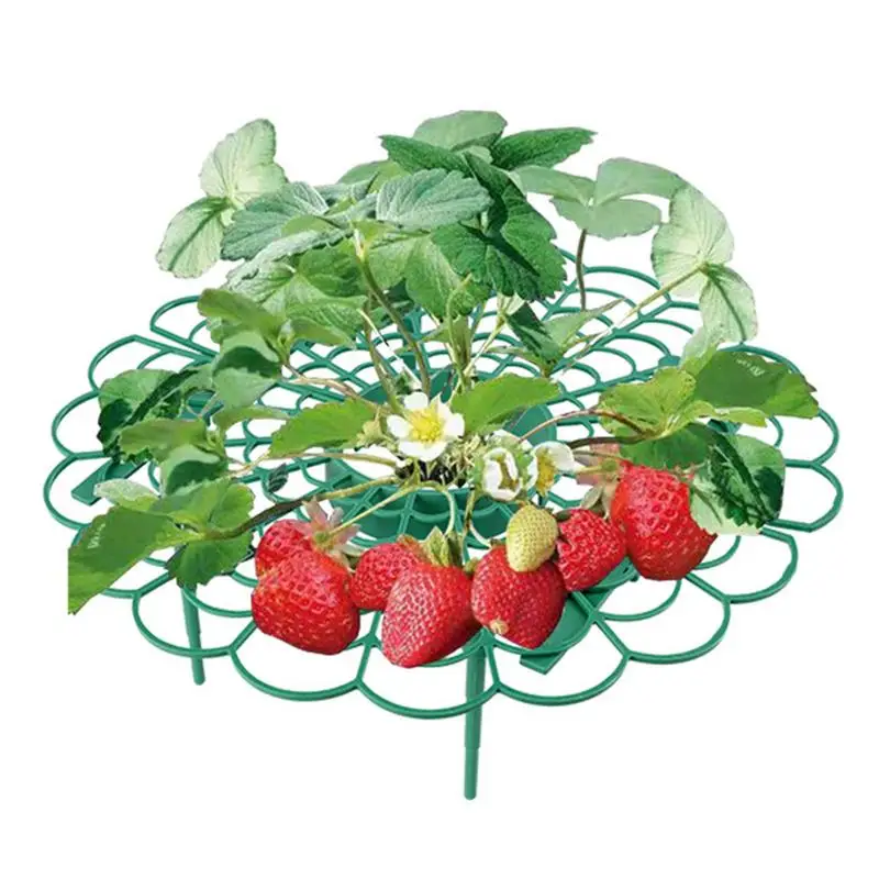 

Strawberry Rack 3 Pack Strawberry Support Stand Sturdy Garden Plant Support Racks Elevate The Fruit Far From Soil To Avoid