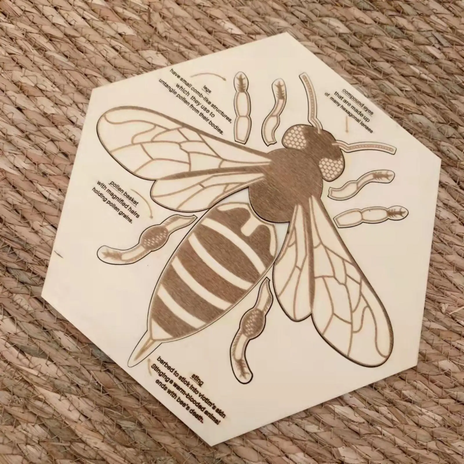 

Деревянная головоломка Монтессори, игрушка, познавательная головоломка для детей