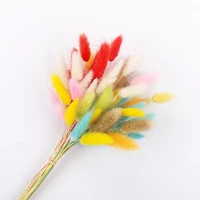 50pcs rabbit tail natural dried flower pampas grass bunch real bouquet flower for photo props flores home wedding decoration diy